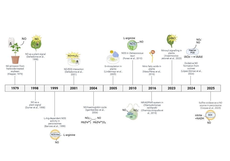Timeline of significant reports in plant NO research