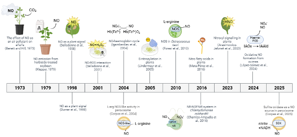 Timeline of significant reports in plant NO research